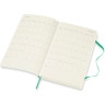 Еженедельник MOLESKINE CLASSIC WKLY LARGE (мятный) DSK4612WN3